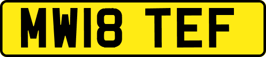 MW18TEF