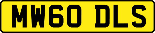 MW60DLS