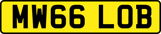 MW66LOB