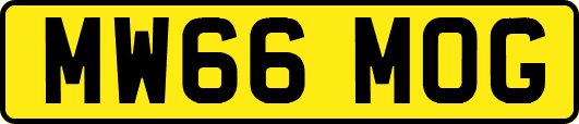 MW66MOG