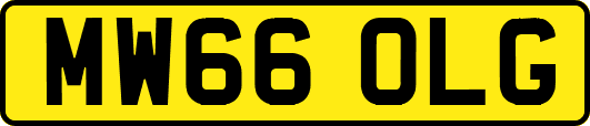 MW66OLG