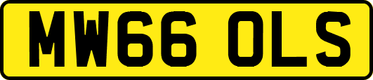MW66OLS
