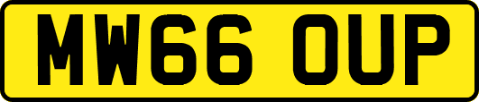 MW66OUP