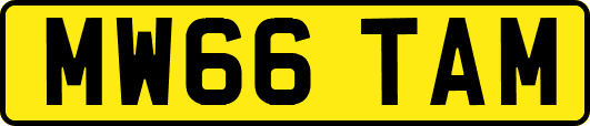 MW66TAM