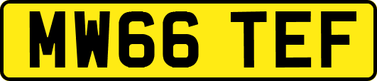 MW66TEF