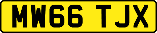MW66TJX