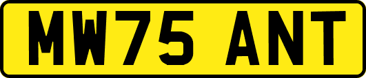 MW75ANT