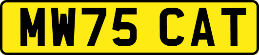 MW75CAT