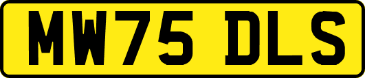 MW75DLS