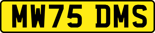 MW75DMS