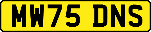 MW75DNS