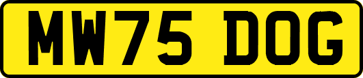 MW75DOG