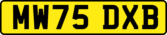 MW75DXB