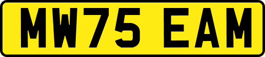 MW75EAM