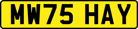 MW75HAY
