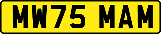 MW75MAM