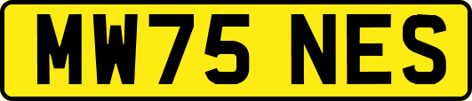 MW75NES