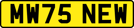 MW75NEW