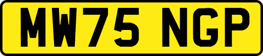 MW75NGP