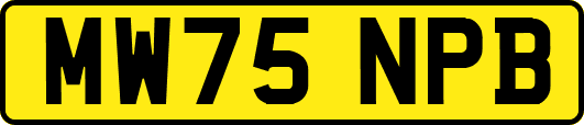 MW75NPB