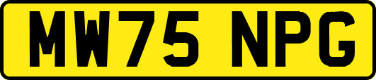 MW75NPG