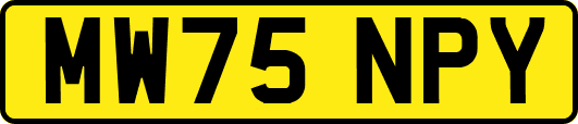MW75NPY