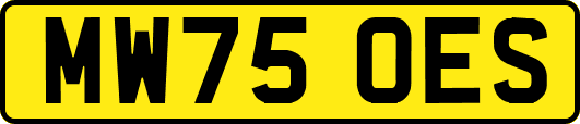 MW75OES