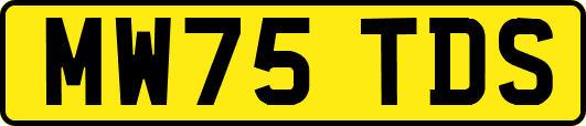 MW75TDS
