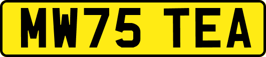 MW75TEA