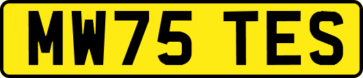 MW75TES