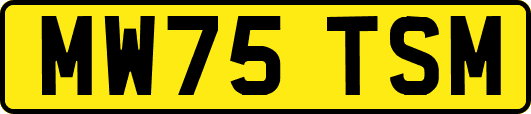 MW75TSM