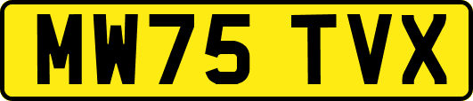 MW75TVX