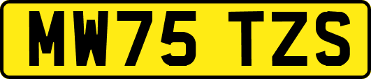 MW75TZS