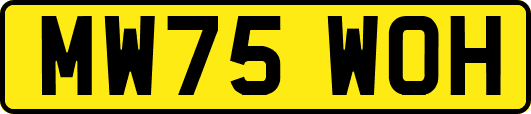 MW75WOH