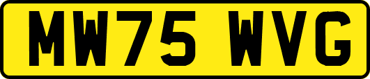 MW75WVG