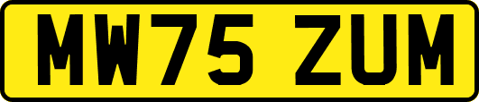 MW75ZUM