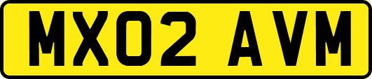 MX02AVM