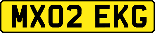 MX02EKG