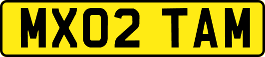 MX02TAM