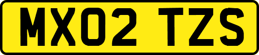 MX02TZS