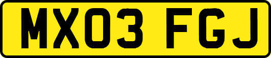 MX03FGJ