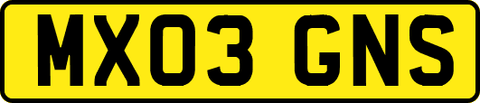 MX03GNS