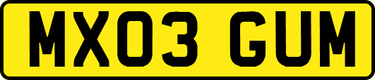 MX03GUM