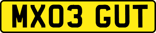 MX03GUT