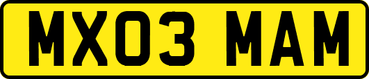 MX03MAM