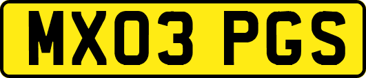 MX03PGS