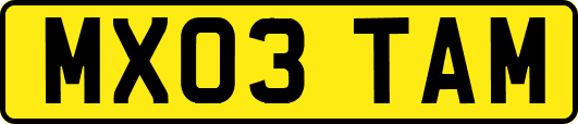 MX03TAM