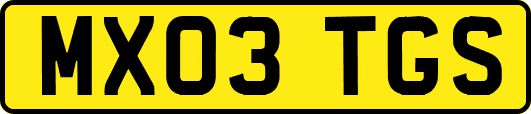 MX03TGS