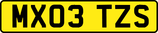 MX03TZS