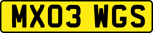 MX03WGS